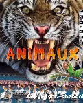 Animaux