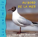 Au bord de la mer