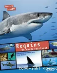 Requins