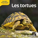 Les tortues