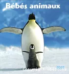 Bébés animaux