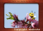 S.O.S. Mélie, une abeille en détresse : kamishibaï