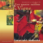 Les quatre saisons de la vigne
