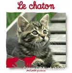 Chaton (Le)