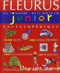 Dictionnaire 8 à 12 ans