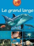Grand large (Le)