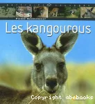 Kangourous (Les)