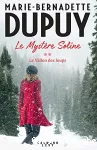 Mystère soline : le vallon des loups t2 (Le)