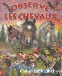 Observe les chevaux