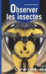 Observer les insectes