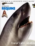 Peur des requins (La)