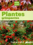 Plantes grimpantes