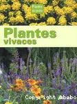 Plantes vivaces