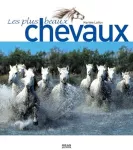 Plus beaux chevaux (Les)