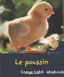 Poussin (Le)