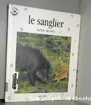 Sanglier : cochon des bois (Le)